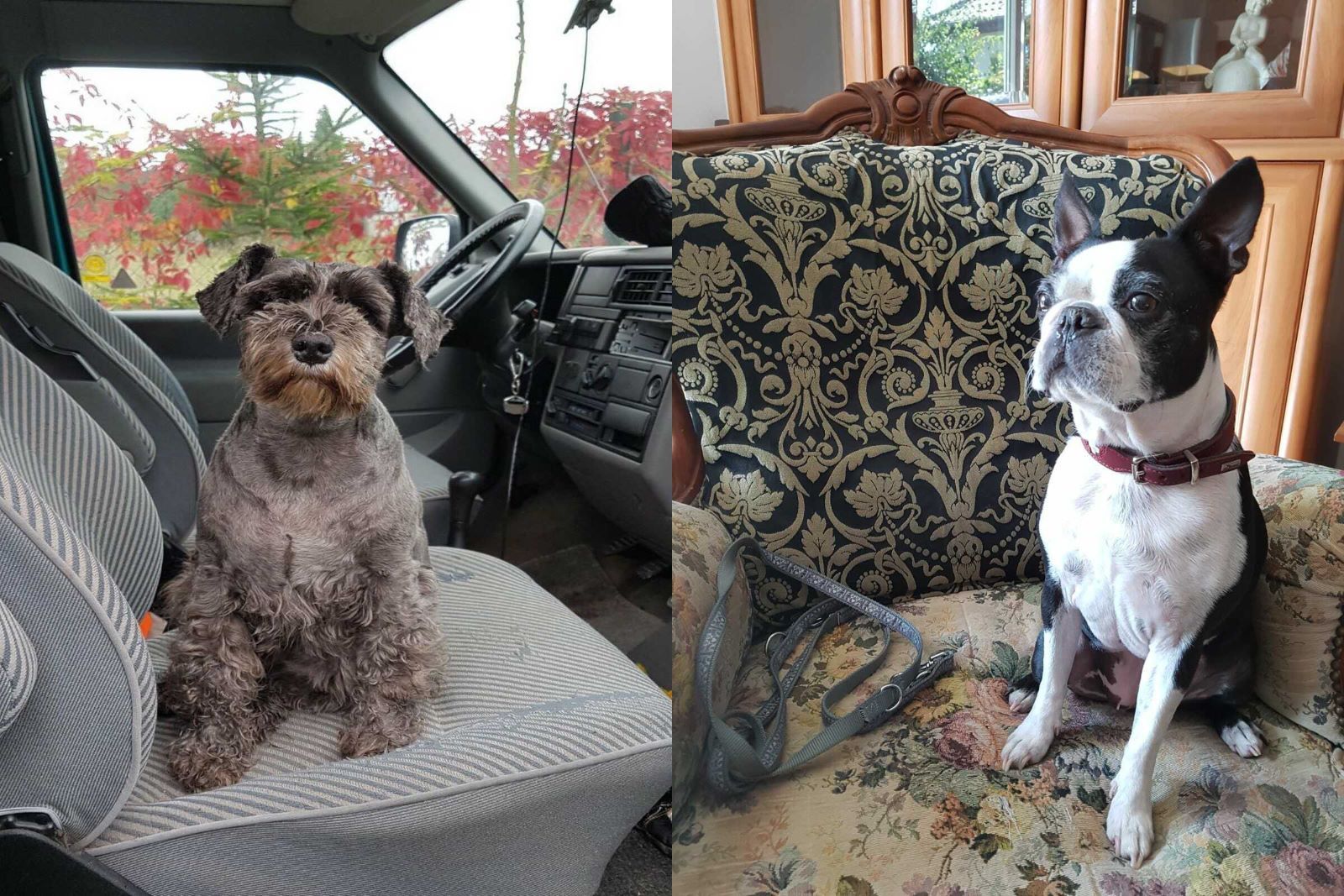 Mielenko. Noclegi. Wakacje z psem nad morzem. Mielenko. Noclegi. Wakacje z psem nad morzem.